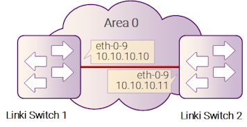 Рисунок 10-11: OSPF