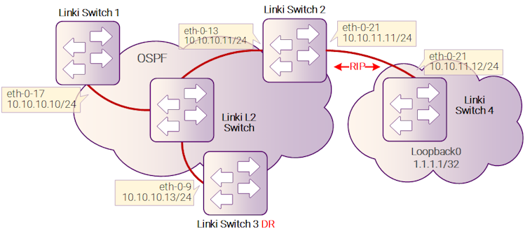 Рисунок 10-14: OSPF redistribute