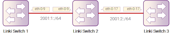 Рисунок 11-1: Маршрутизация IPv6 Unicast