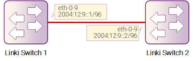 Рисунок 11-2: OSPF v3