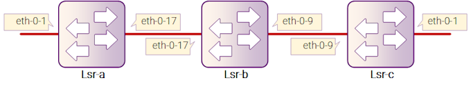 Рисунок 14-1: LSP