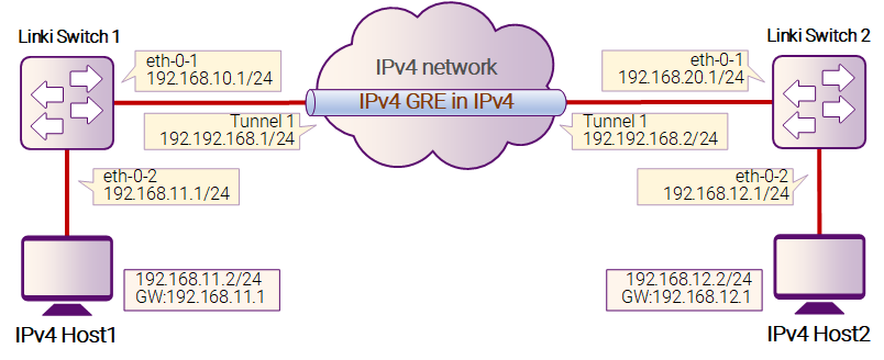 Рисунок 15-2: IPv4 GRE Tunnel