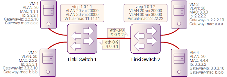 Рисунок 18-2: VXLAN