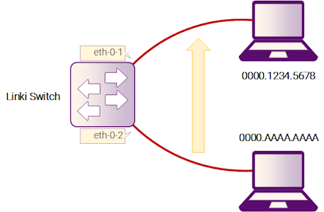 Рисунок 2-3: Static mac address table
