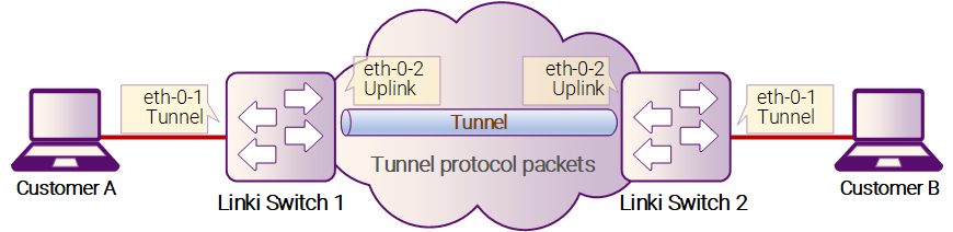 Рисунок 2-24: L2 protocol tunnel