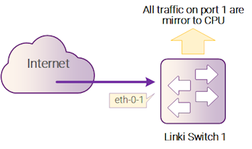 Рисунок 4-7: Mirror to cpu