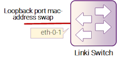Рисунок 5-4: Port Level Loopback