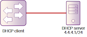 Рисунок 8-4: DHCP Client