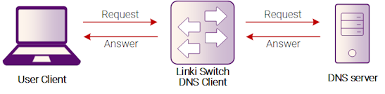 Рисунок 8-8: DNS